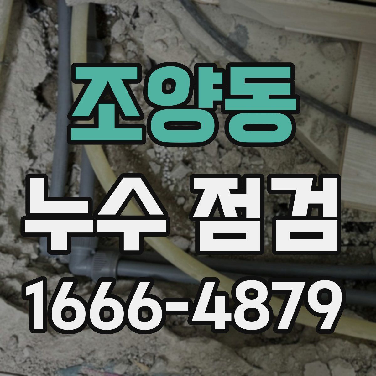 조양동 누수 점검