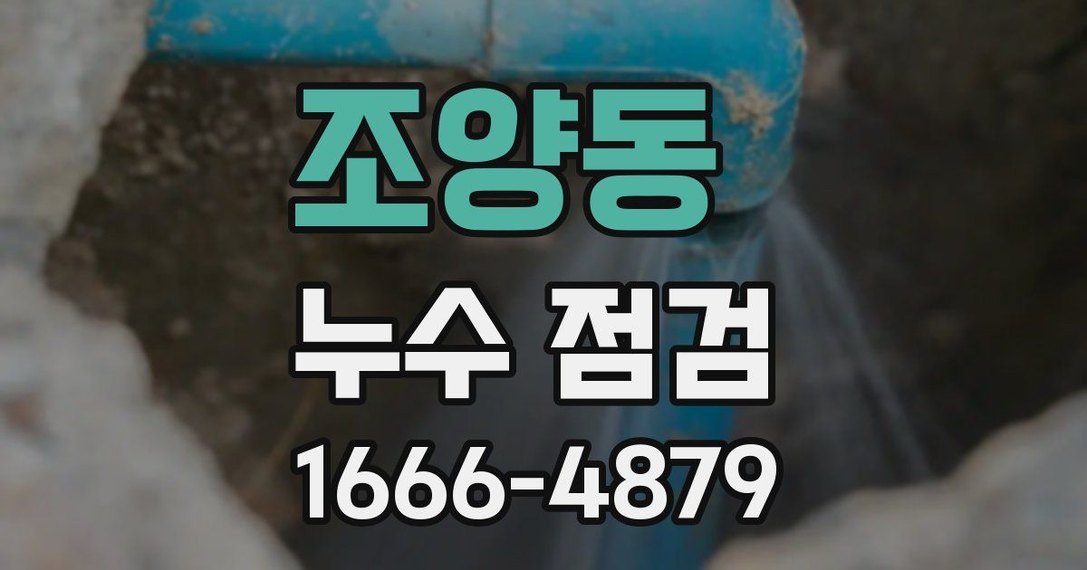 조양동 누수 점검