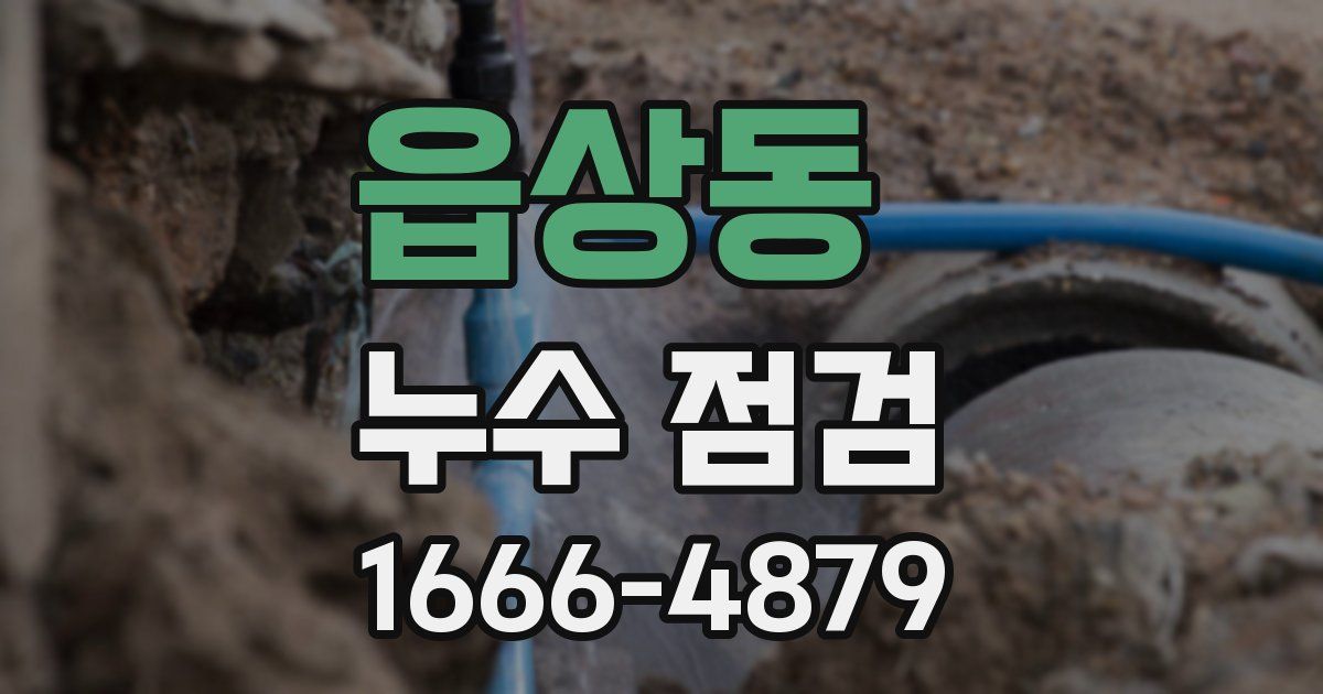 읍상동 누수 점검