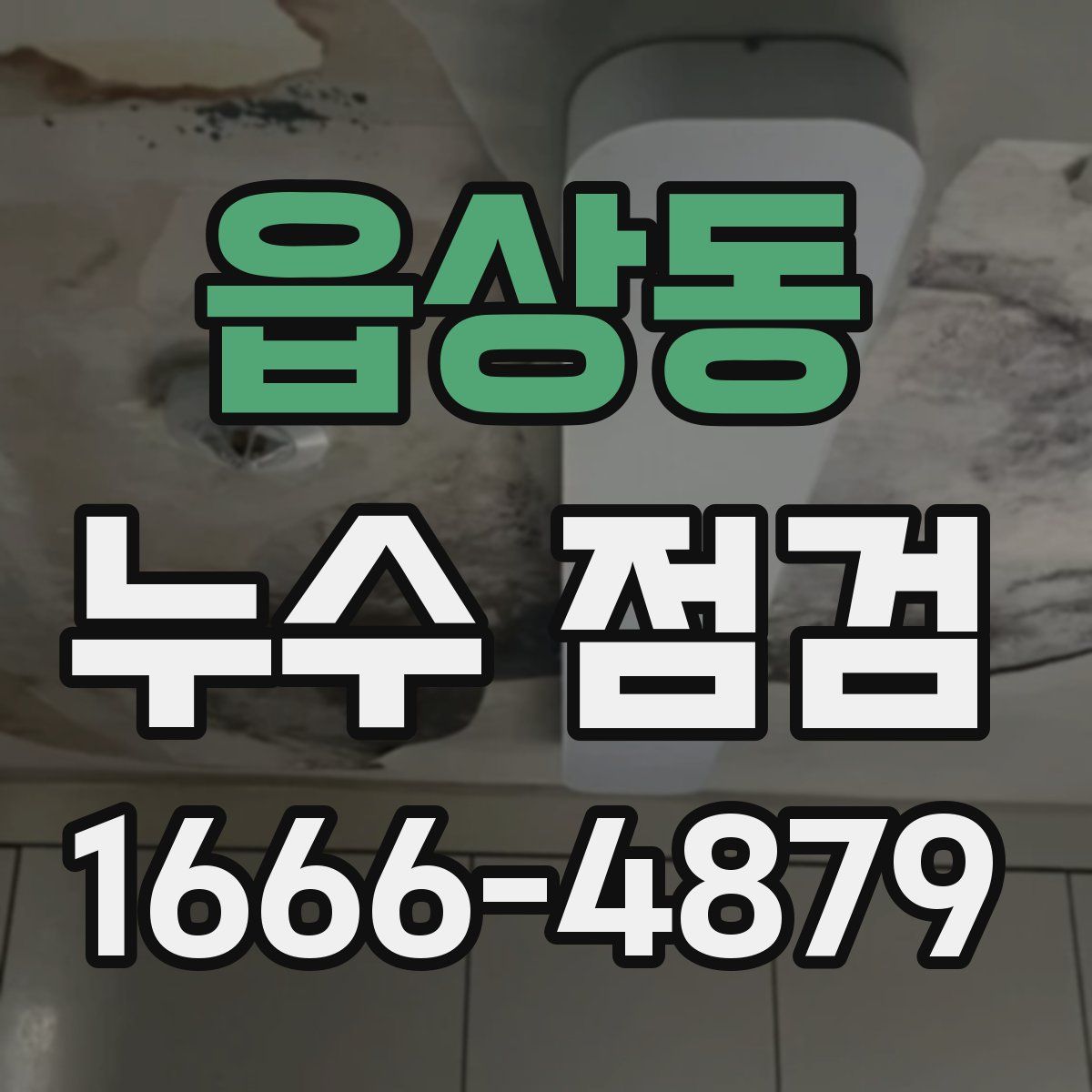 읍상동 누수 점검