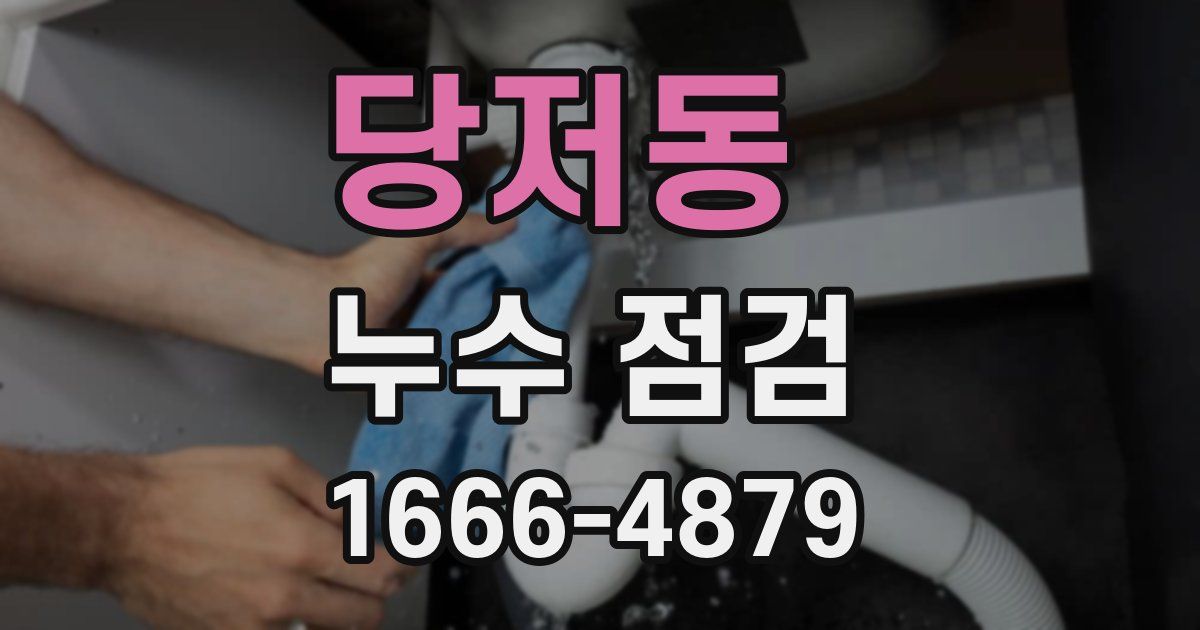 당저동 누수 점검