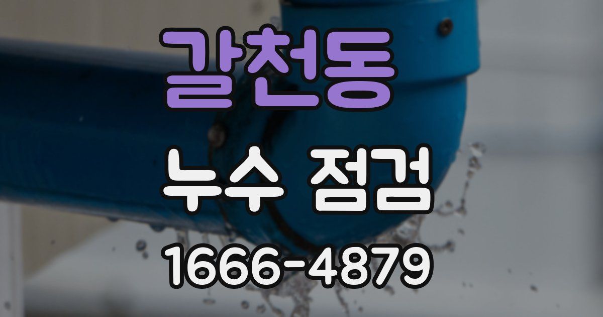 갈천동 누수 점검