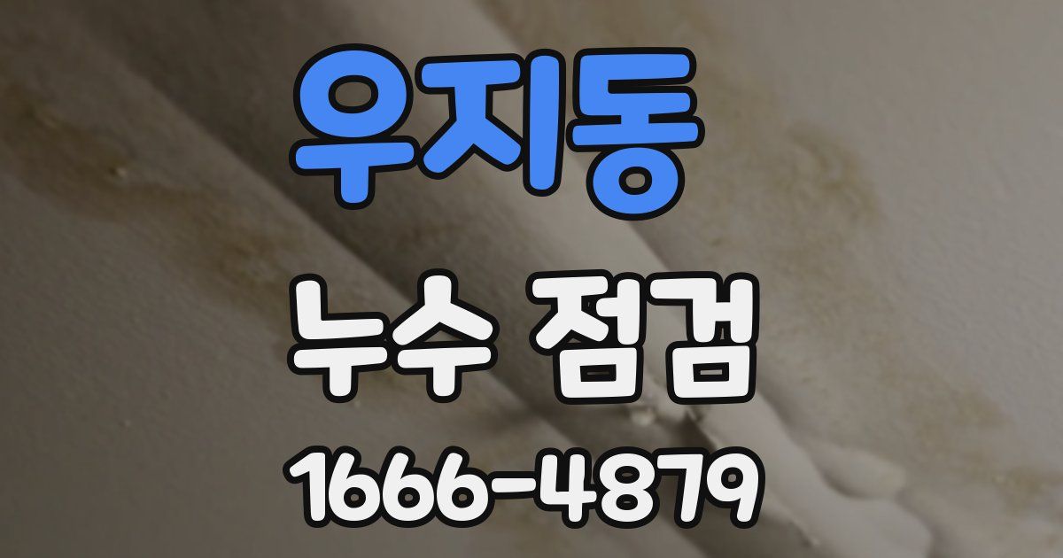우지동 누수 점검