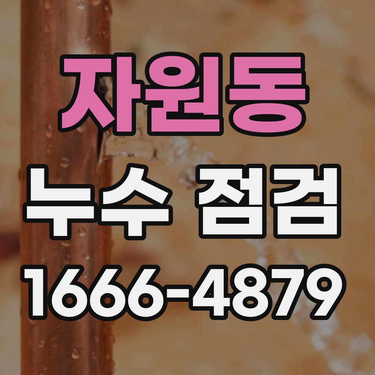 자원동 누수 점검
