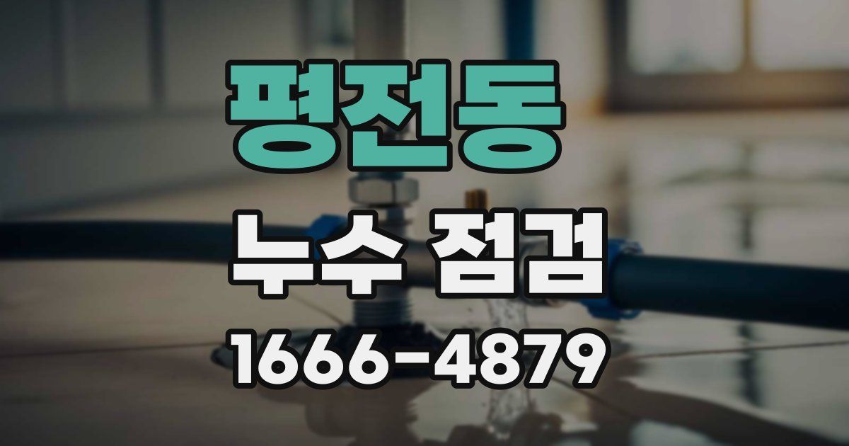 평전동 누수 점검