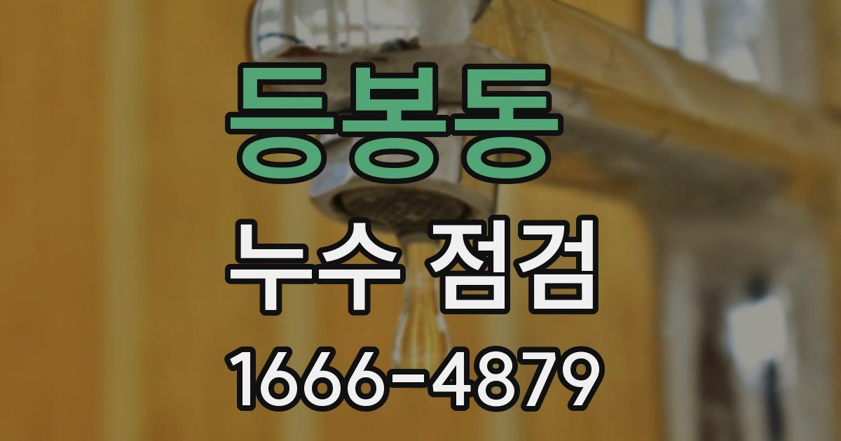등봉동 누수 점검