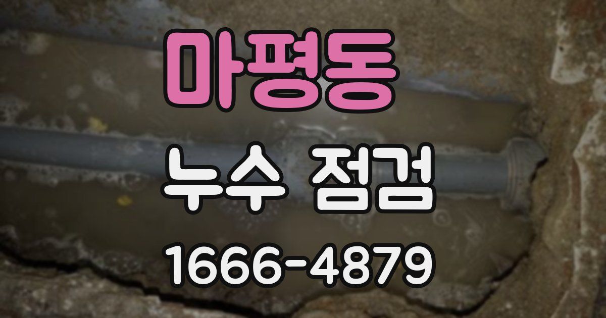 마평동 누수 점검