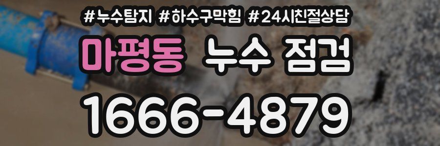 마평동 누수 점검