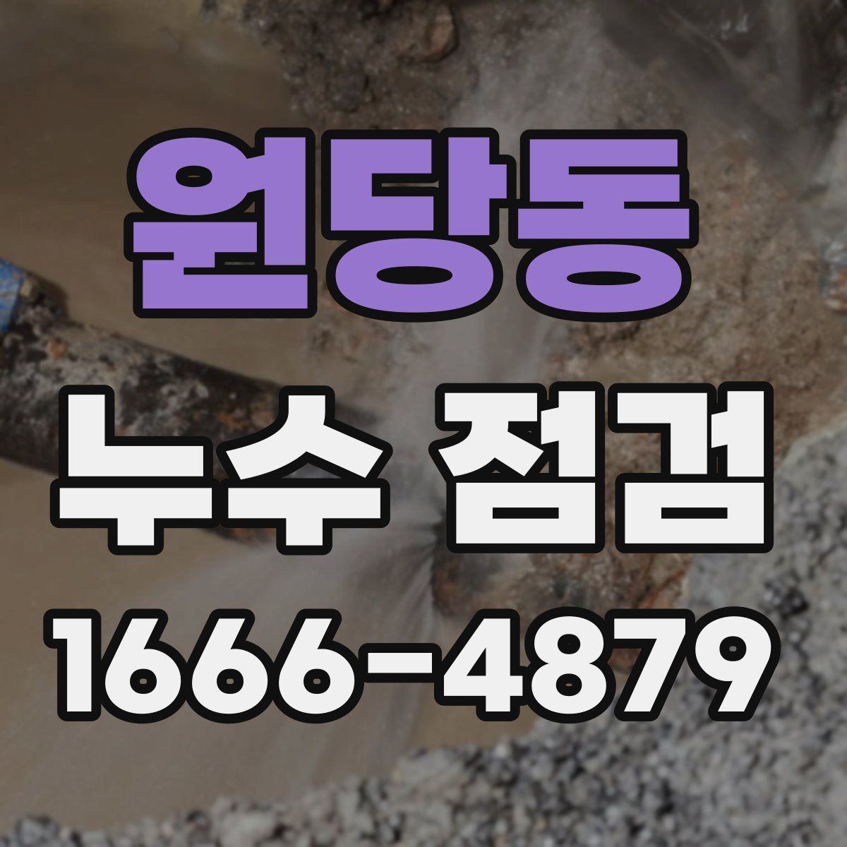 원당동 누수 점검