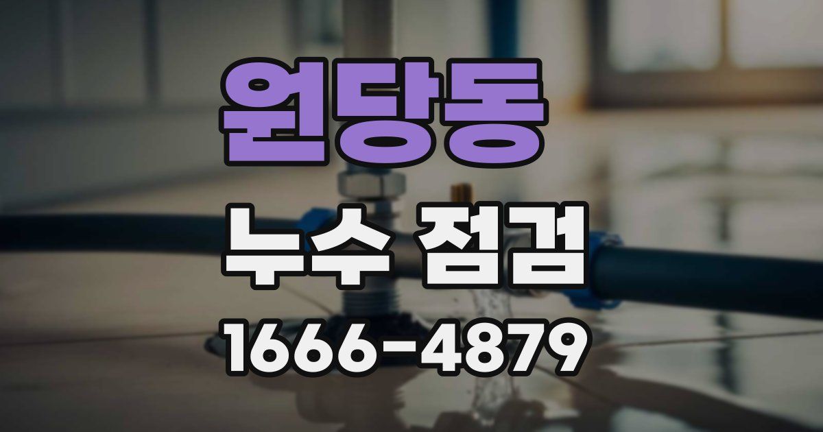 원당동 누수 점검