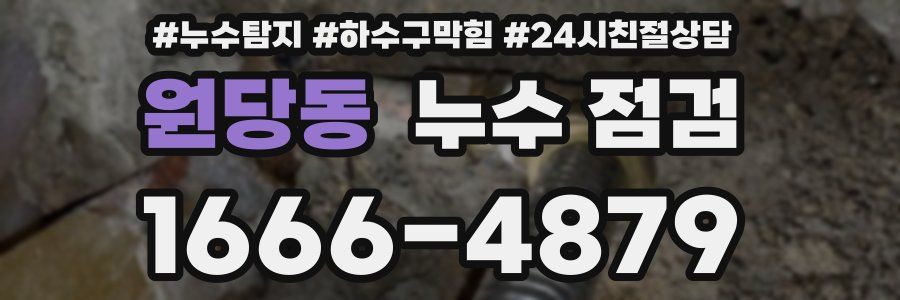 원당동 누수 점검