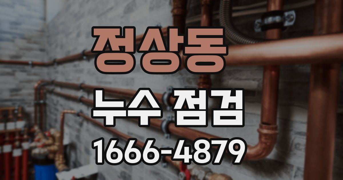 정상동 누수 점검