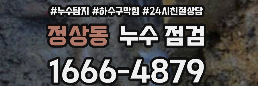 정상동 누수 점검