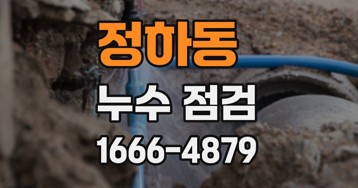 정하동 누수 점검