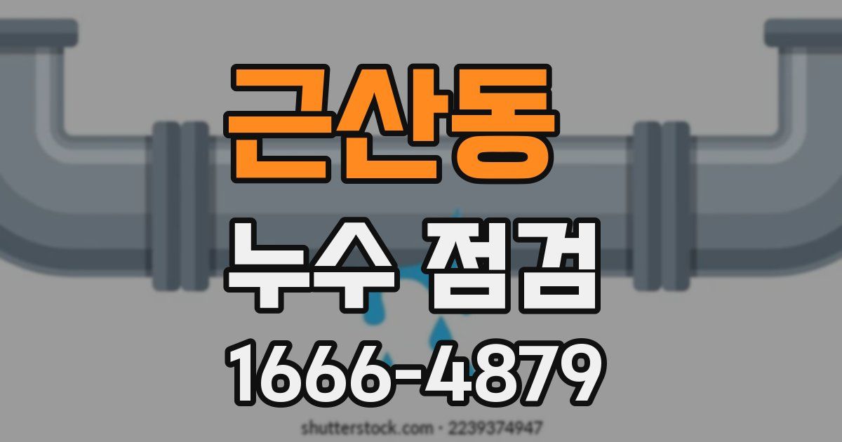 근산동 누수 점검