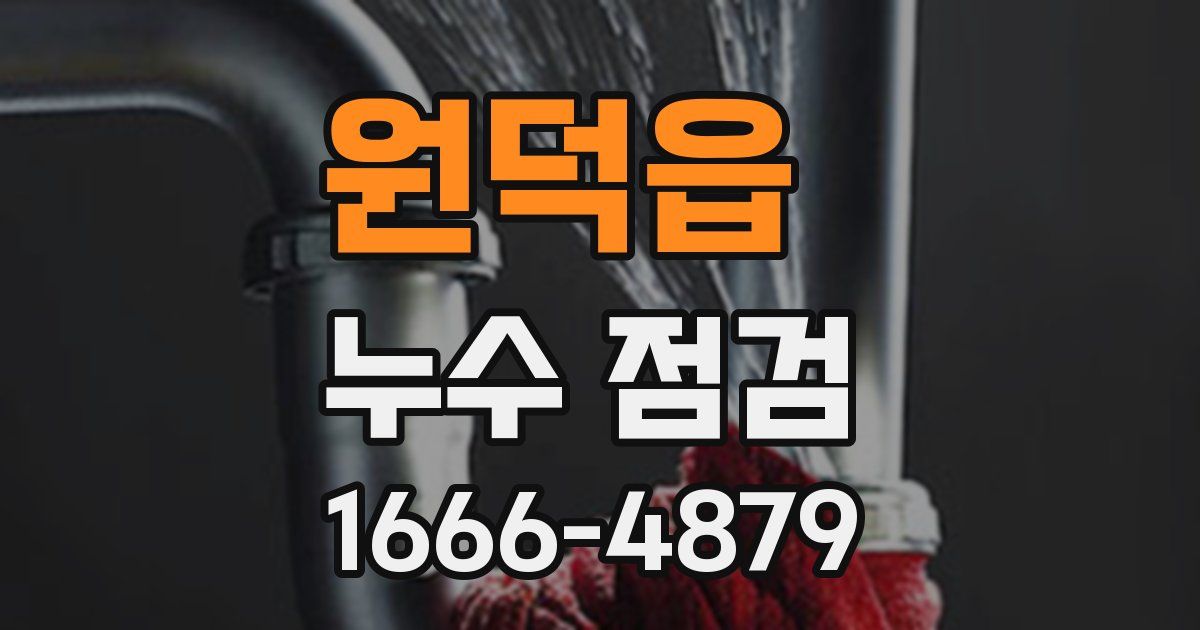 원덕읍 누수 점검