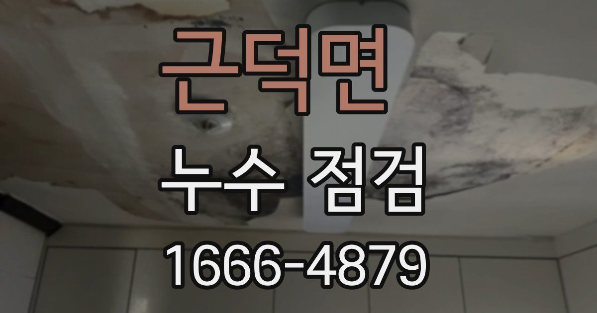 근덕면 누수 점검