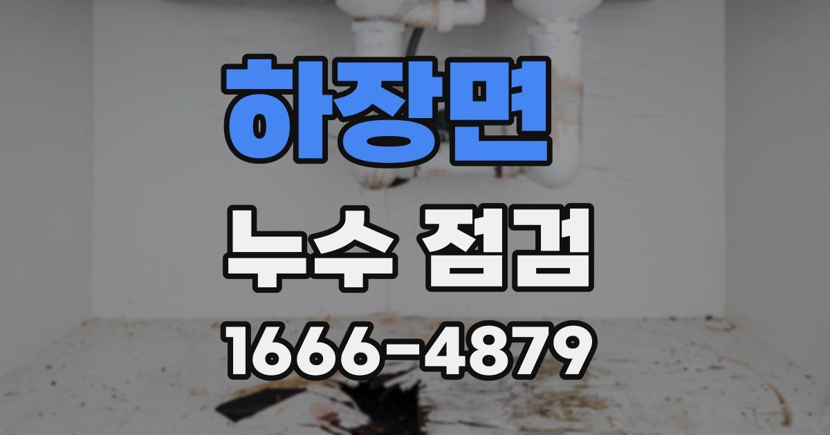 하장면 누수 점검