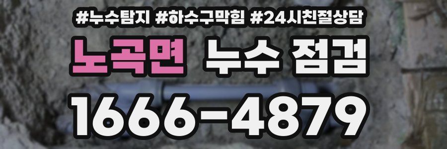 노곡면 누수 점검