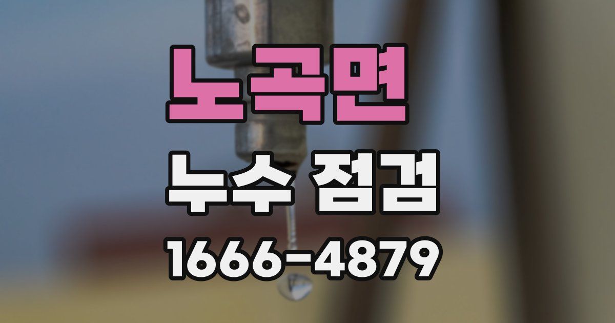 노곡면 누수 점검