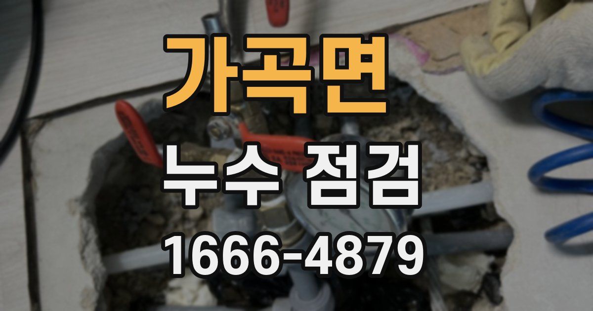 가곡면 누수 점검