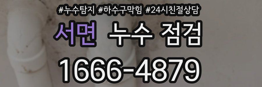 서면 누수 점검