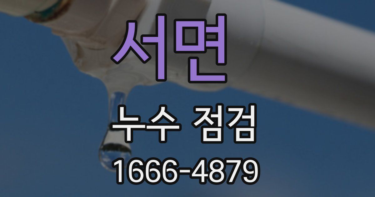 서면 누수 점검