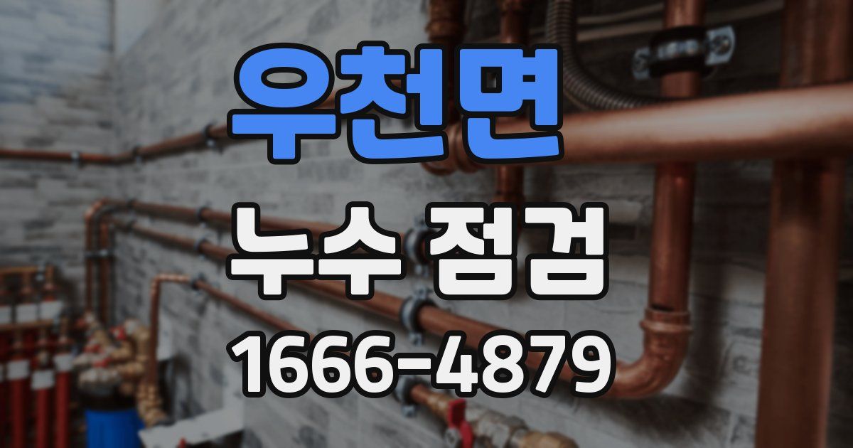 우천면 누수 점검