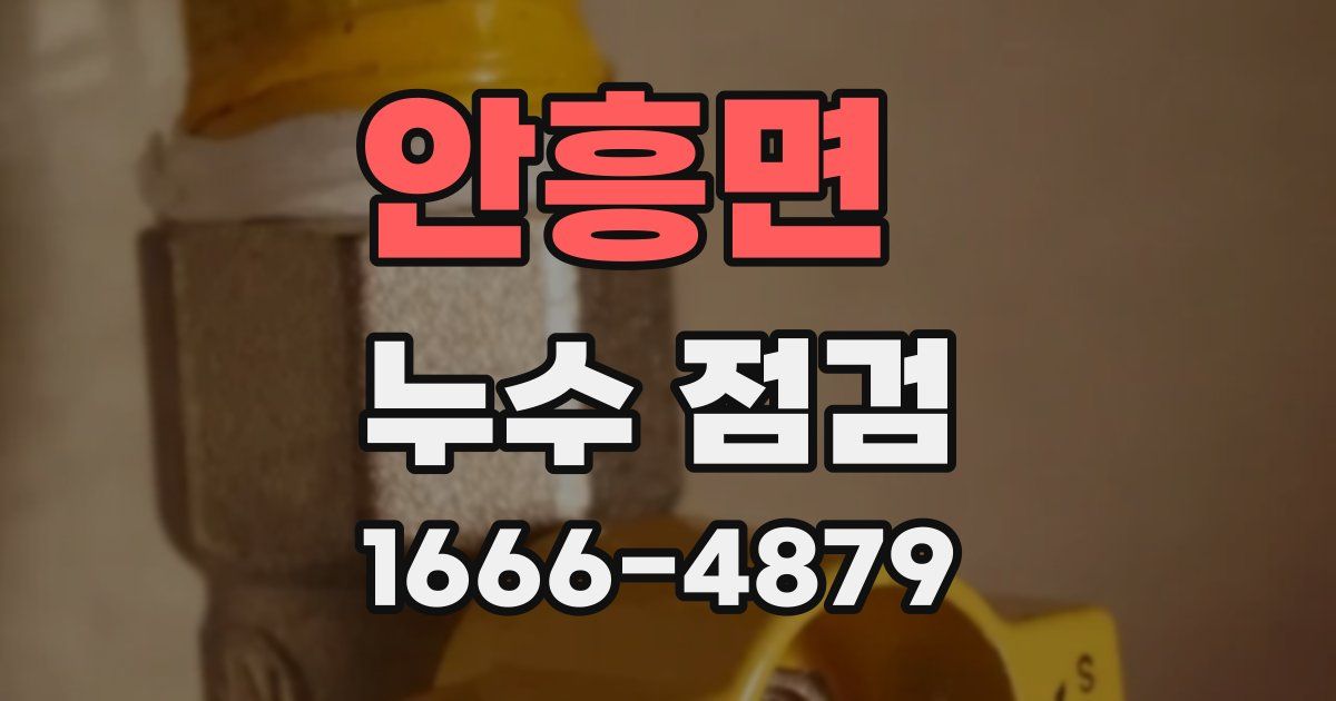 안흥면 누수 점검