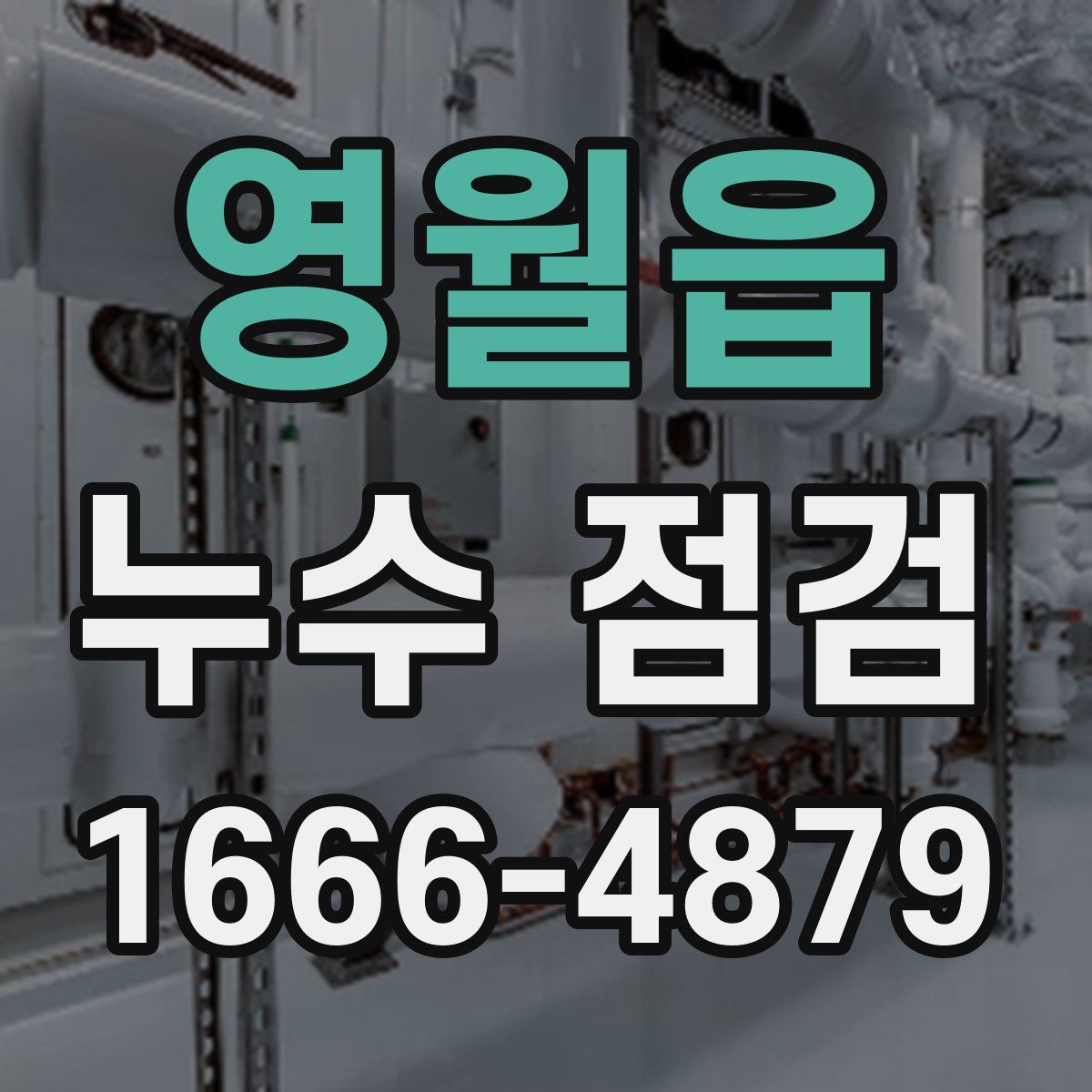 영월읍 누수 점검