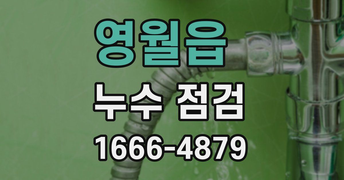 영월읍 누수 점검