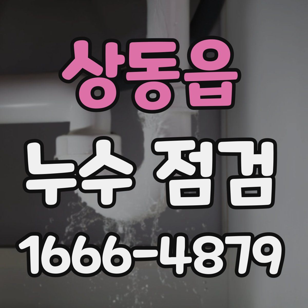상동읍 누수 점검