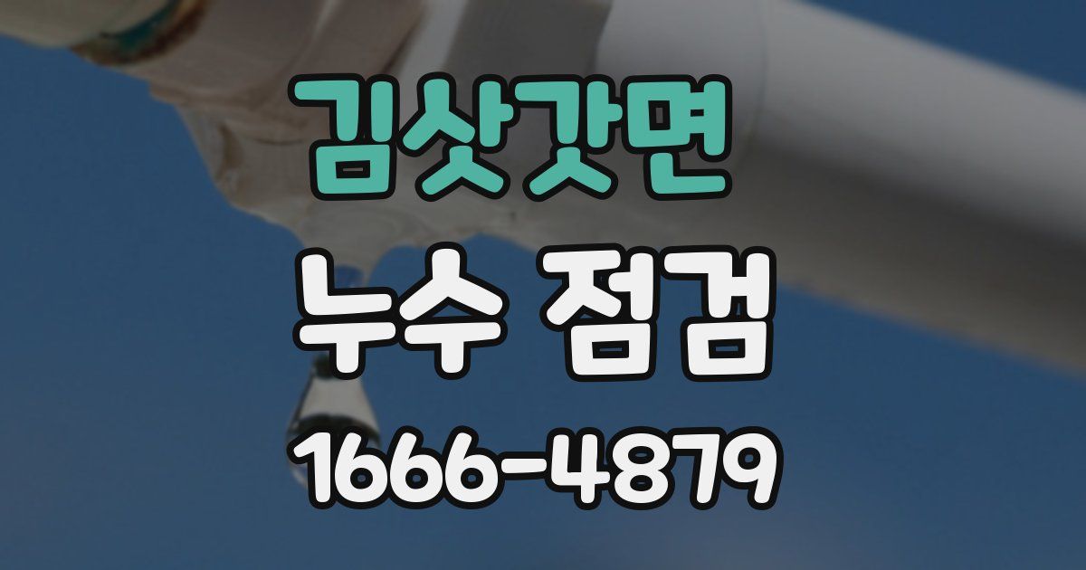 김삿갓면 누수 점검