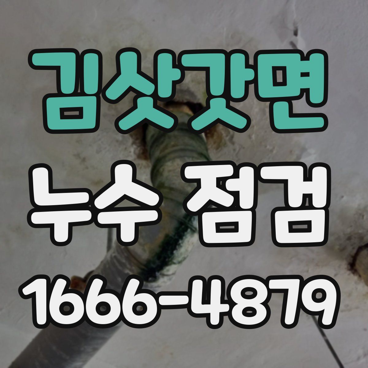 김삿갓면 누수 점검