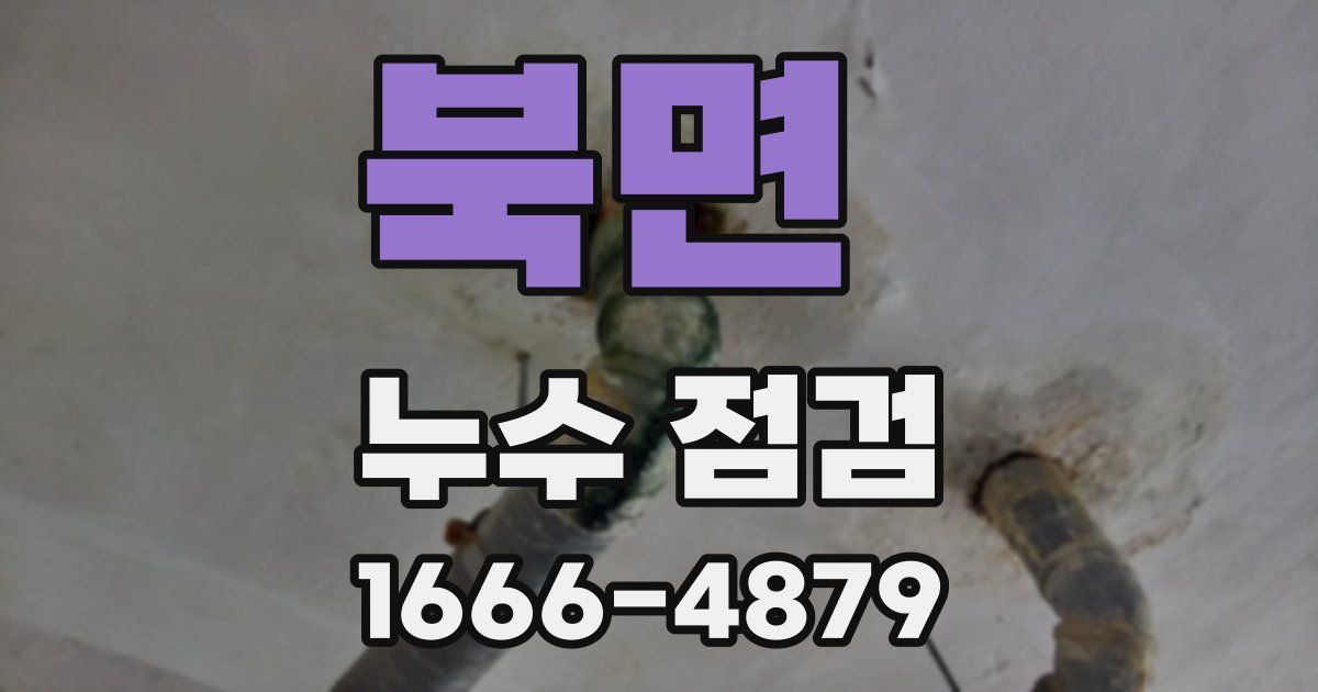 북면 누수 점검