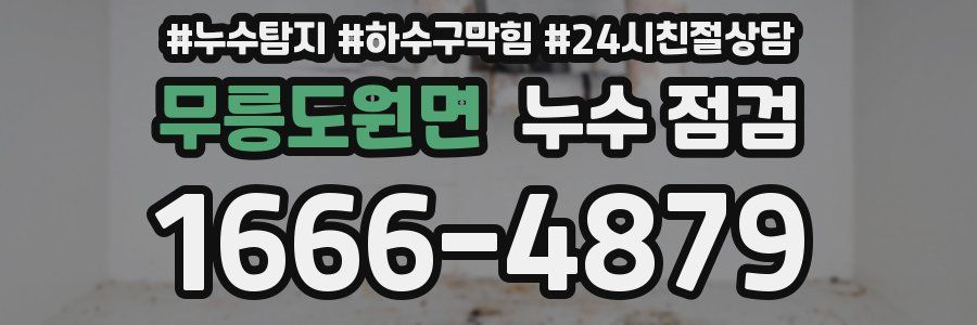 무릉도원면 누수 점검