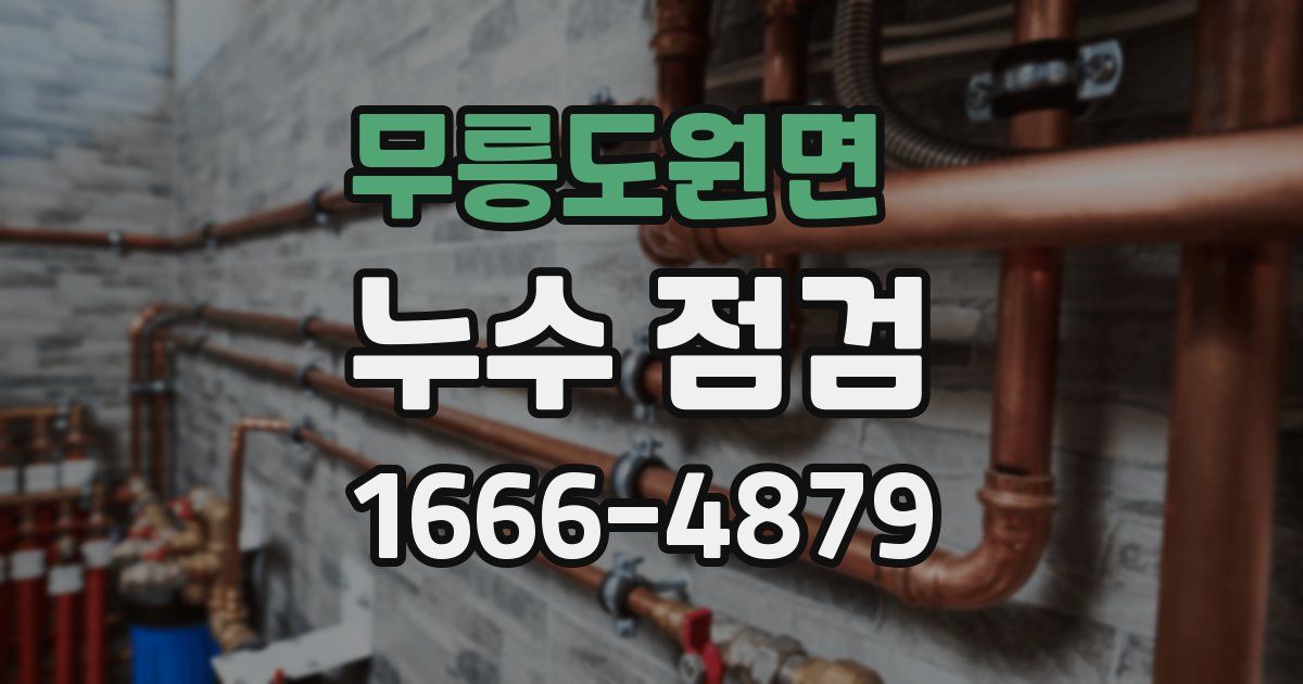 무릉도원면 누수 점검