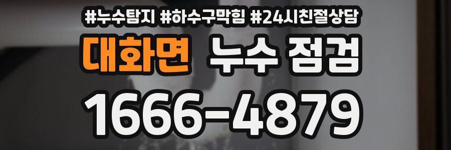 대화면 누수 점검
