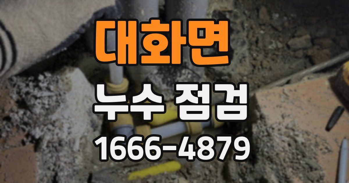 대화면 누수 점검