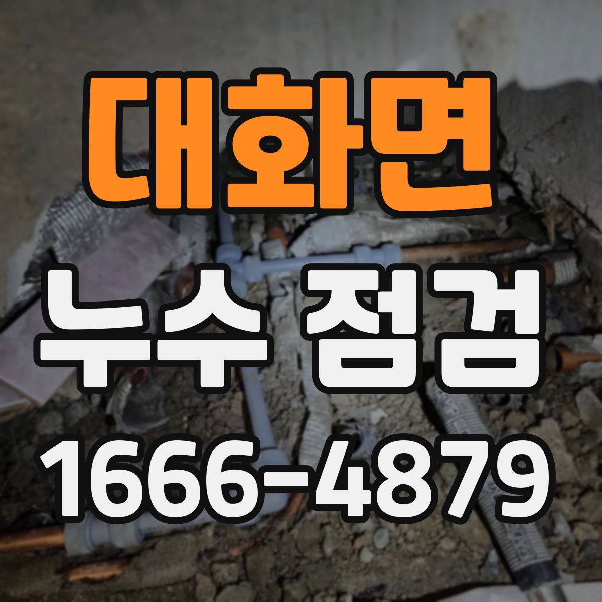 대화면 누수 점검