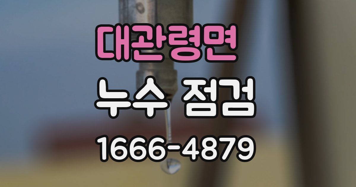 대관령면 누수 점검