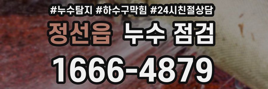 정선읍 누수 점검