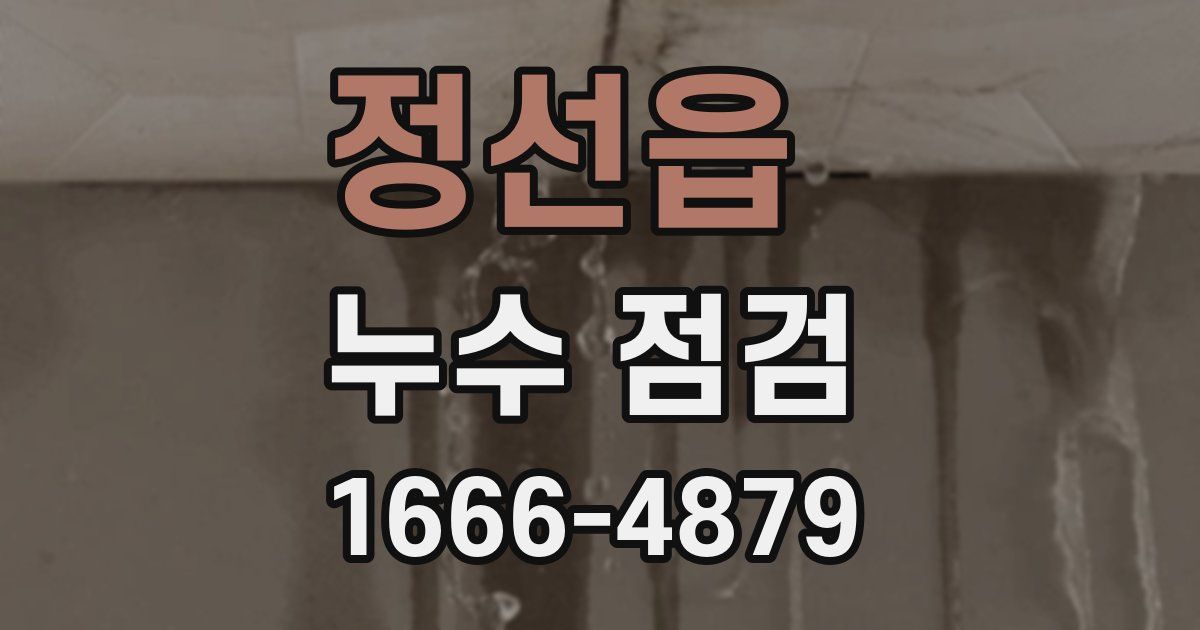 정선읍 누수 점검