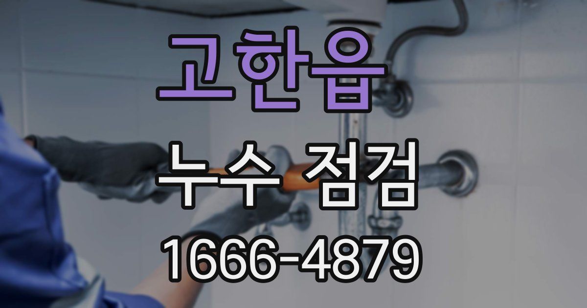 고한읍 누수 점검