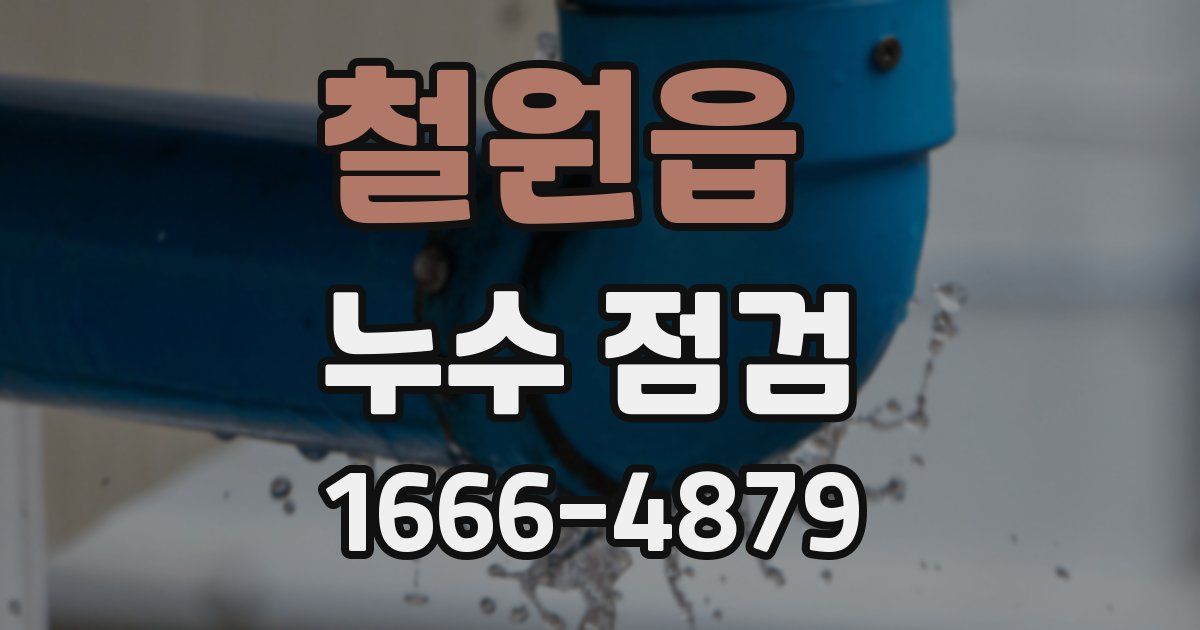 철원읍 누수 점검