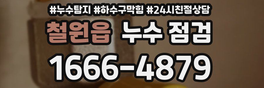 철원읍 누수 점검