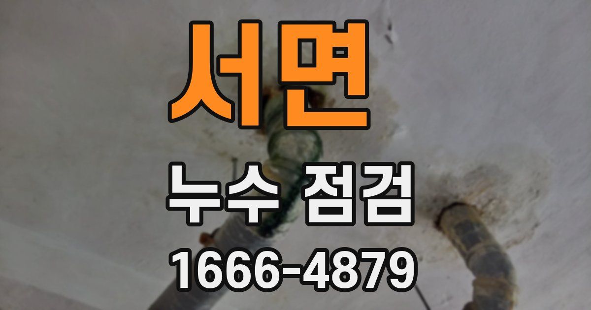 서면 누수 점검