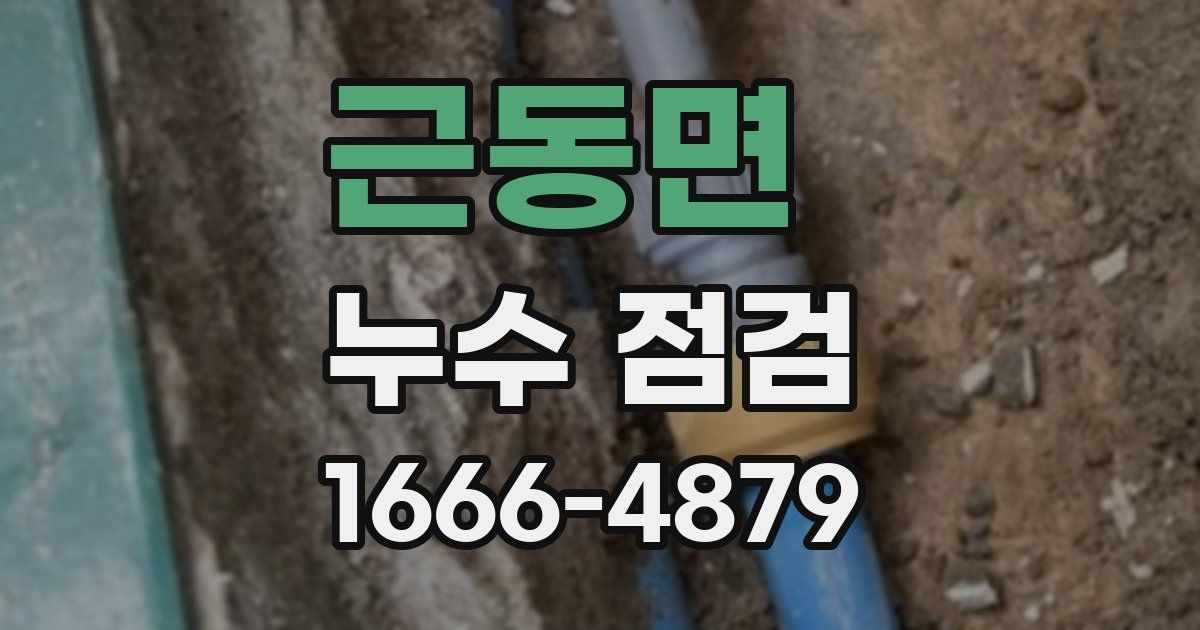 근동면 누수 점검