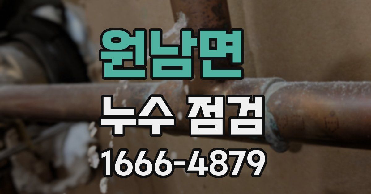 원남면 누수 점검