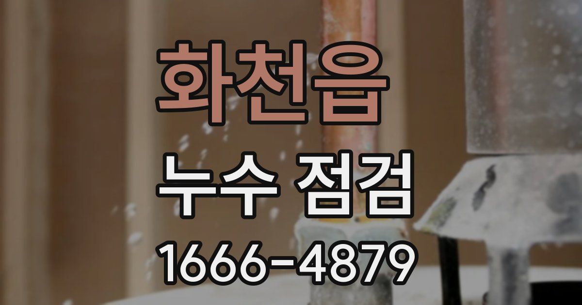 화천읍 누수 점검